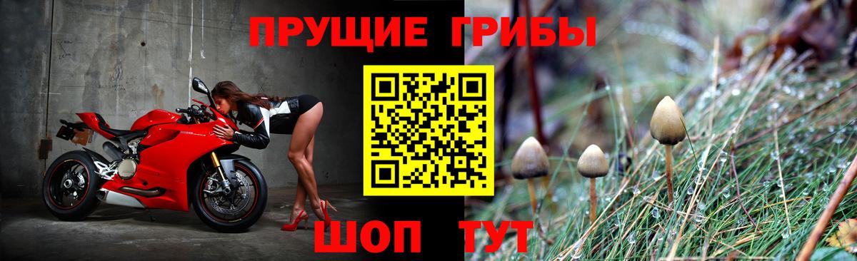 Псилоцибиновые грибы мицелий  Псилоцибиновые грибы MAGIC MUSHROOMS  Вход с VPN  дарнет шоп  Партизанск 